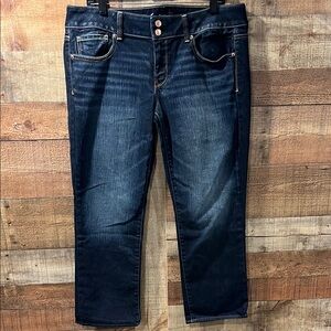 American Eagle Outfitters Artist Dark Blue Ankle Jeans women's size 14